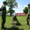 Parachute Jump Course032